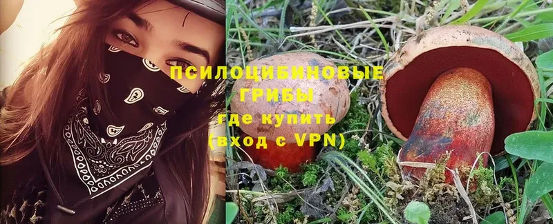 Псилоцибиновые грибы MAGIC MUSHROOMS  где найти   Безенчук 